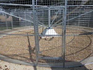 Claydon Stoneleigh Mesh Inner Gate