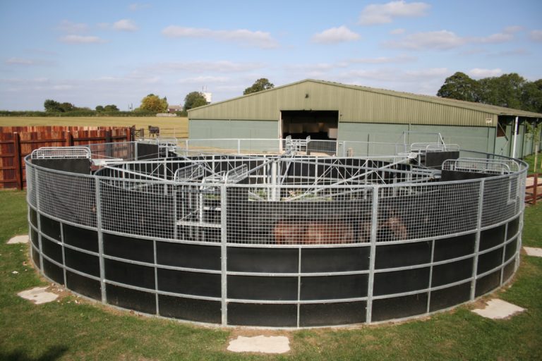 Claydon Derby Horse Walker Claydon Horse Exercisers