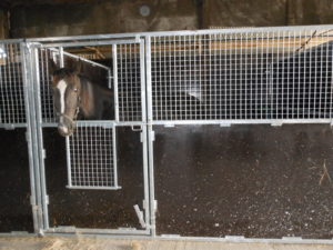 Claydon Stables Full Door